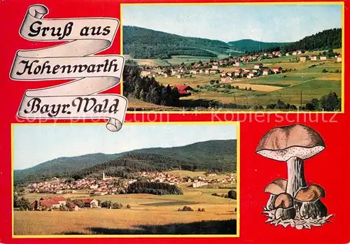 AK / Ansichtskarte Hohenwarth_Koetzting Panoramen Hohenwarth Koetzting