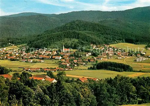 AK / Ansichtskarte Hohenwarth_Koetzting Panorama Hohenwarth Koetzting