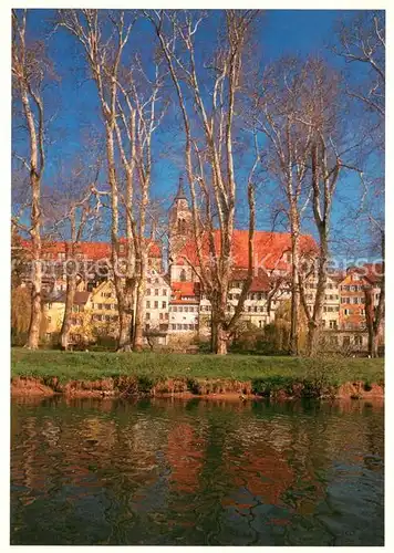 AK / Ansichtskarte Tuebingen Platanenallee Tuebingen