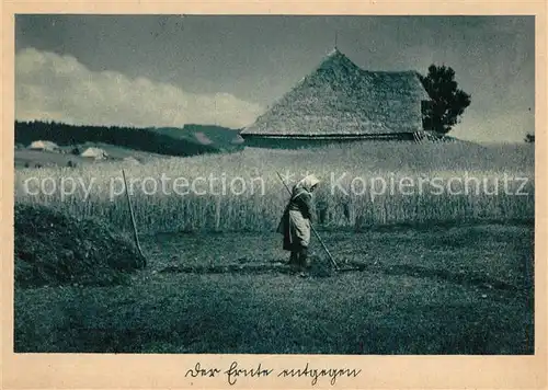 AK / Ansichtskarte Ernte_Landwirtschaft  Ernte_Landwirtschaft