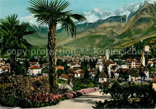 AK / Ansichtskarte Meran_Merano Panorama Kurort Palmen Texelgruppe Meran Merano