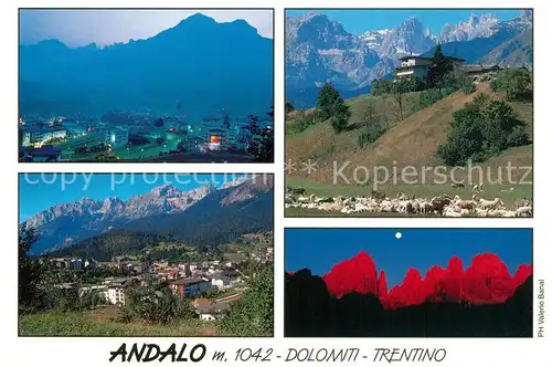 AK / Ansichtskarte Andalo Panorama Dolomiten Alpengluehen Schafherde Andalo