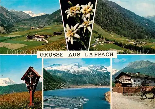 AK / Ansichtskarte Lappach_Muehlwald Panorama Muehlwaldertal Pustertal Wegekreuz Edelweiss Bergsee Lappach Muehlwald