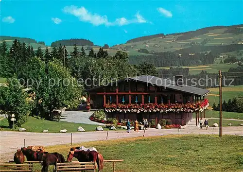 AK / Ansichtskarte Hinterzarten Restaurant Skihuette Thoma Pferde Schwarzwald Hinterzarten