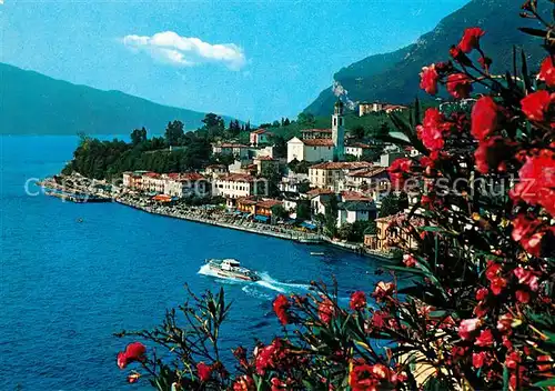 AK / Ansichtskarte Limone_Lago_di_Garda Panorama Gardasee Blumen Limone_Lago_di_Garda