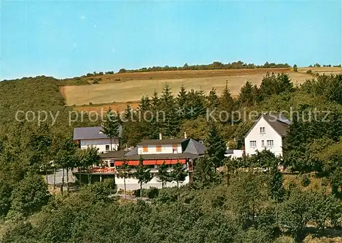 AK / Ansichtskarte Presberg_Rheingau Gaststaette Rheingauer Alp Presberg Rheingau