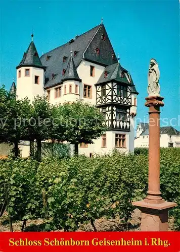 AK / Ansichtskarte Geisenheim Schloss Schoenborn Mariensaeule Geisenheim