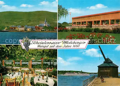 AK / Ansichtskarte Oestrich Winkel Rheinterrasse Molsberger Weinstube Alter Kran Rheindampfer Oestrich Winkel