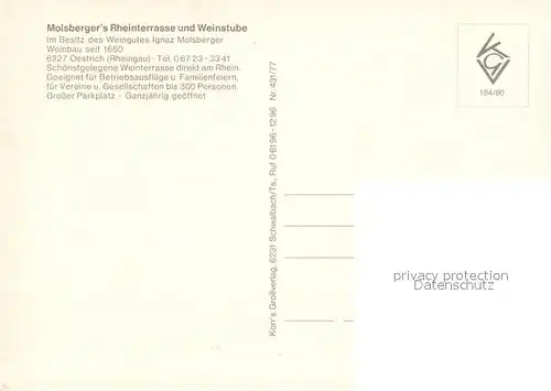 AK / Ansichtskarte Oestrich Winkel Rheinterrasse Molsberger Weinstube Alter Kran Rheindampfer Oestrich Winkel