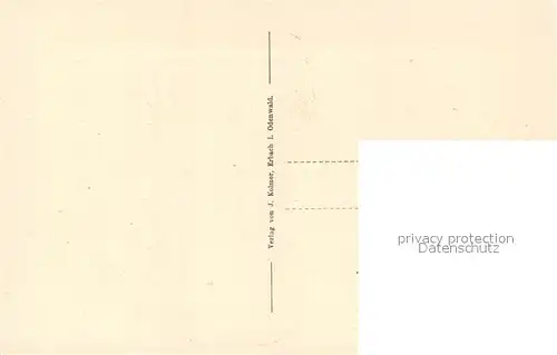 AK / Ansichtskarte Erbach_Odenwald Partie mit Schloss Erbach Odenwald