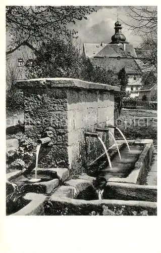 AK / Ansichtskarte Vielbrunn Brunnen Vielbrunn