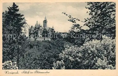 AK / Ansichtskarte Wernigerode_Harz Schloss im Bluetenzauber Wernigerode Harz