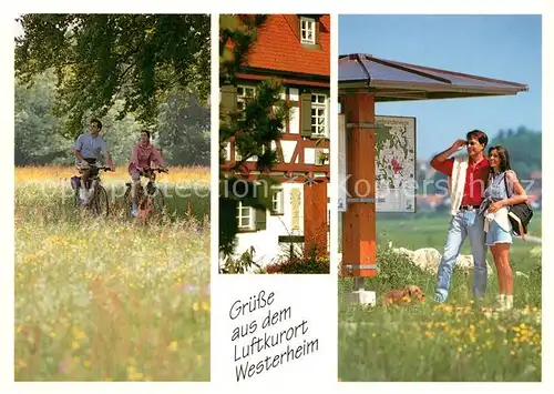 AK / Ansichtskarte Westerheim_Wuerttemberg Teilansichten Westerheim_Wuerttemberg