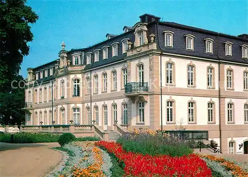 AK / Ansichtskarte Offenbach_Main Buesingpalais Offenbach Main