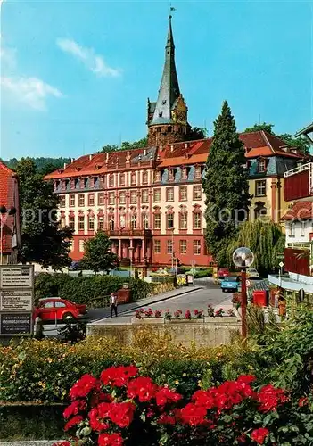 AK / Ansichtskarte Erbach_Odenwald Schloss Erbach Odenwald