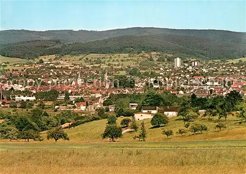 AK / Ansichtskarte Michelstadt Panorama Michelstadt