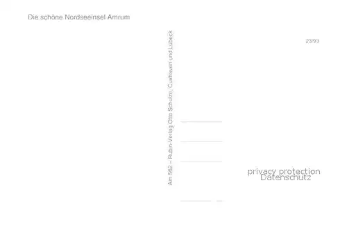 AK / Ansichtskarte Amrum Leuchtturm Friesenhaus Seezeichenhafen Norddorf Muehle Kniepsand Amrum