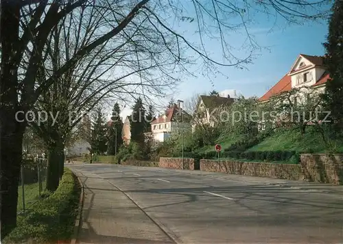AK / Ansichtskarte Aglasterhausen Strassenpartie Aglasterhausen