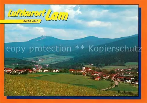 AK / Ansichtskarte Lam_Oberpfalz Panorama Lam_Oberpfalz