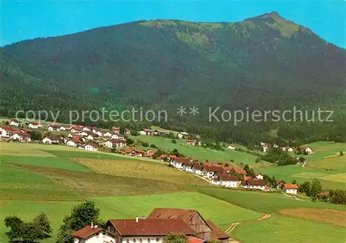 AK / Ansichtskarte Lam_Oberpfalz mit Osser Lam_Oberpfalz