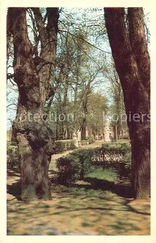 AK / Ansichtskarte St_Petersburg_Leningrad Summer Gardens  St_Petersburg_Leningrad