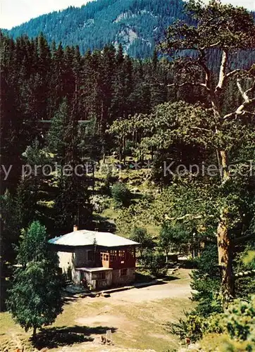 Smolensk Sanatorium Tschudnite Mostowe Smolensk