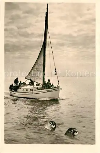 Langeoog_Nordseebad Segelboot und Robben Langeoog_Nordseebad