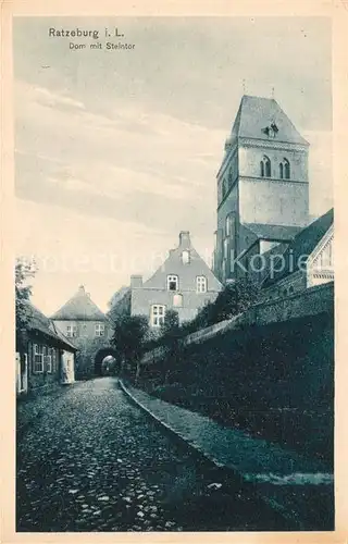 Ratzeburg Dom Steintor Ratzeburg