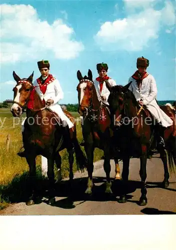 AK / Ansichtskarte Trachten_Hessen Schwalm Ziegenhain Pferde Trachten Hessen