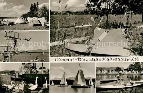 AK / Ansichtskarte Waging_See Campingplatz Bootfahren Segelboot Sprungturm Schwaene Waging_See