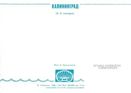 AK / Ansichtskarte Kaliningrad Zoo Kaliningrad