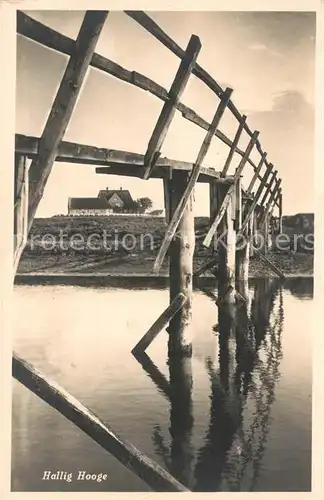 AK / Ansichtskarte Hallig_Hooge Holzbruecke Hallig Hooge