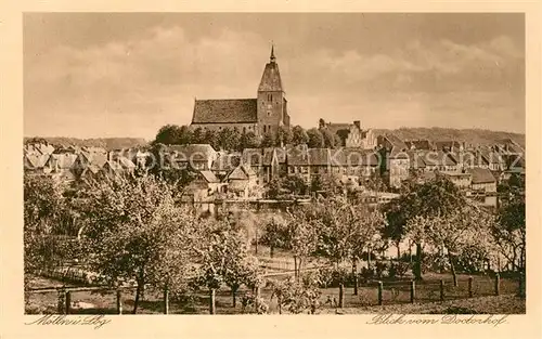 AK / Ansichtskarte Moelln_Lauenburg Blick vom Doctorhof Moelln_Lauenburg