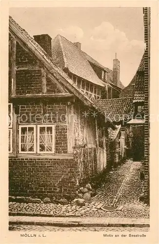 AK / Ansichtskarte Moelln_Lauenburg Seestrasse Alte Haeuser  Moelln_Lauenburg