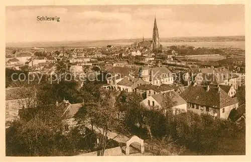 AK / Ansichtskarte Schleswig_Holstein Panorama Kirche Schleswig_Holstein