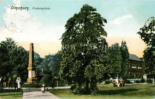 AK / Ansichtskarte Elmshorn Probstenfelde Elmshorn