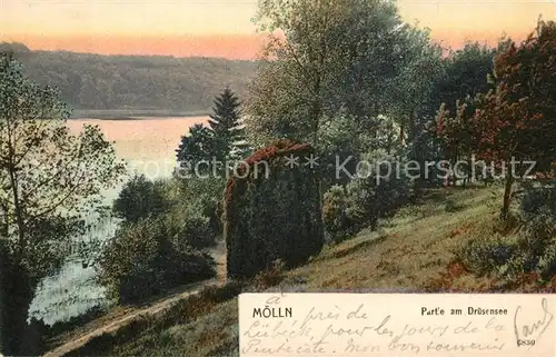 AK / Ansichtskarte Moelln_Lauenburg Partie am Druesensee Moelln_Lauenburg