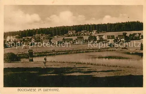 AK / Ansichtskarte Bockswiese Hahnenklee_Harz Panorama Bockswiese Hahnenklee