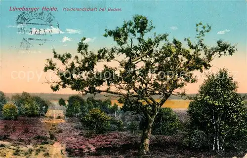 AK / Ansichtskarte Bockel_Rotenburg_Wuemme Heidelandschaft Bockel_Rotenburg_Wuemme