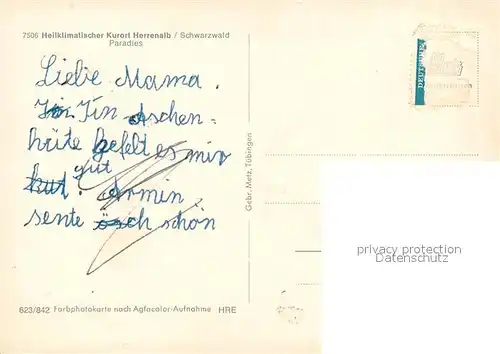 AK / Ansichtskarte Bad_Herrenalb Paradies Altstadt Ruine Kirche Fachwerkhaeuser Bad_Herrenalb