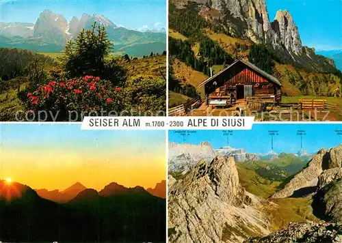 AK / Ansichtskarte Seiser_Alm Alpe di Siusi Dolomiti Bergalm Dolomiten Seiser_Alm