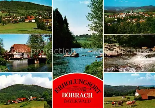AK / Ansichtskarte Boebrach Panorama Holzbruecke Partie am Fluss Bauernhaus Viehweide Kuehe Boebrach