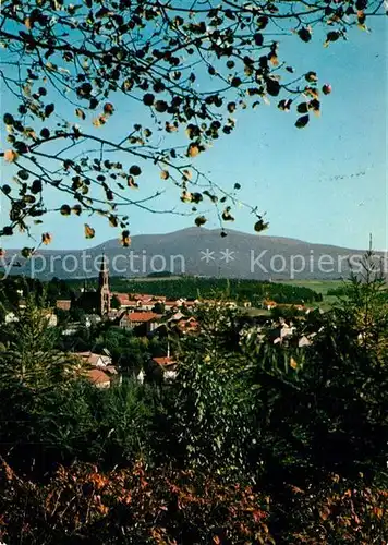 AK / Ansichtskarte Zwieselberg_Bayern Panorama Waldstadt Zwieselberg Bayern