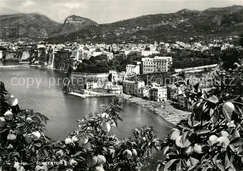 AK / Ansichtskarte Sorrento_Campania Panorama Suedfruechte Sorrento Campania