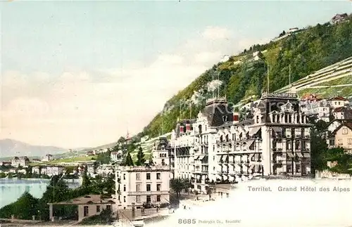 AK / Ansichtskarte Territet Grand Hotel des Alpes Territet