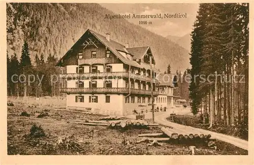 AK / Ansichtskarte Ammerwald Alpenhotel Ammerwald