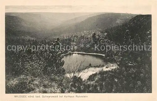 AK / Ansichtskarte Wildsee_Schwarzwald bei Kurhaus Ruhestein 