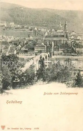 AK / Ansichtskarte Heidelberg_Neckar Bruecke vom Schlangenweg Heidelberg Neckar