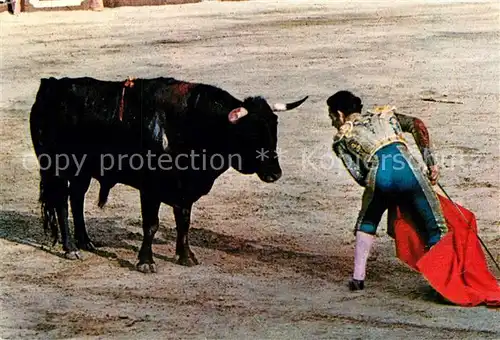 AK / Ansichtskarte Stierkampf Corrida de Toros  Stierkampf