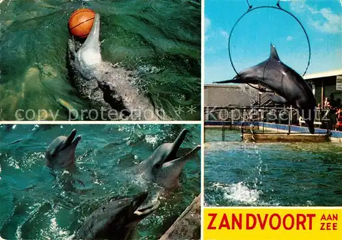 AK / Ansichtskarte Delphine Zandvoort aan Zee  Delphine